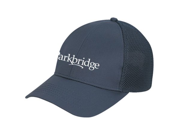 Honeycomb Mesh | 6-Panel Cap