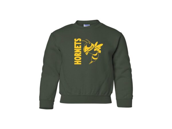 Huron Park Hornets | Youth Crew Neck Sweatshirt