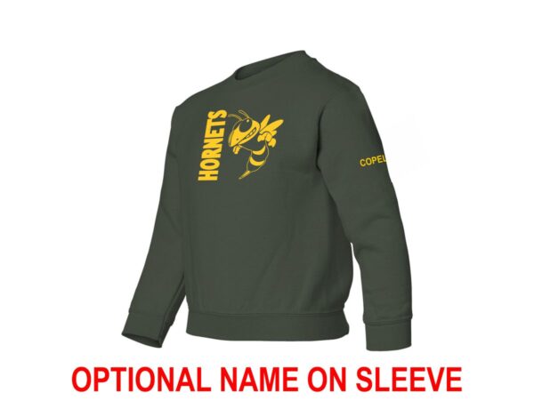 Huron Park Hornets | Youth Crew Neck Sweatshirt - Image 4