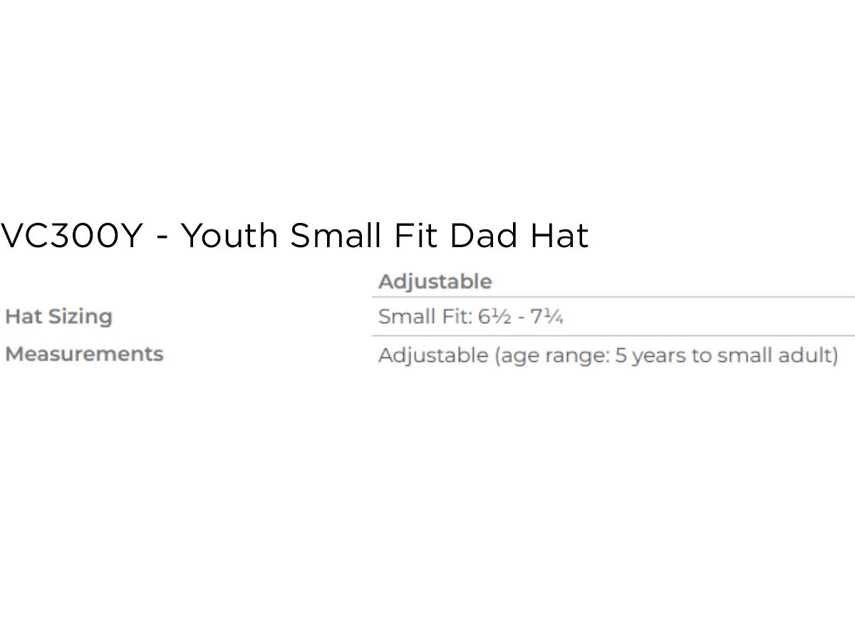 (Y) TBA Bio-Washed | Small Fit Dad Hat - Image 3